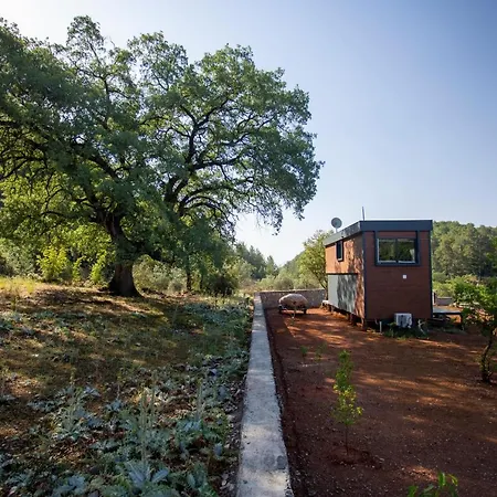 Goecek Tiny Gokceovacik